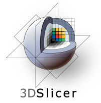 Slicer 3D