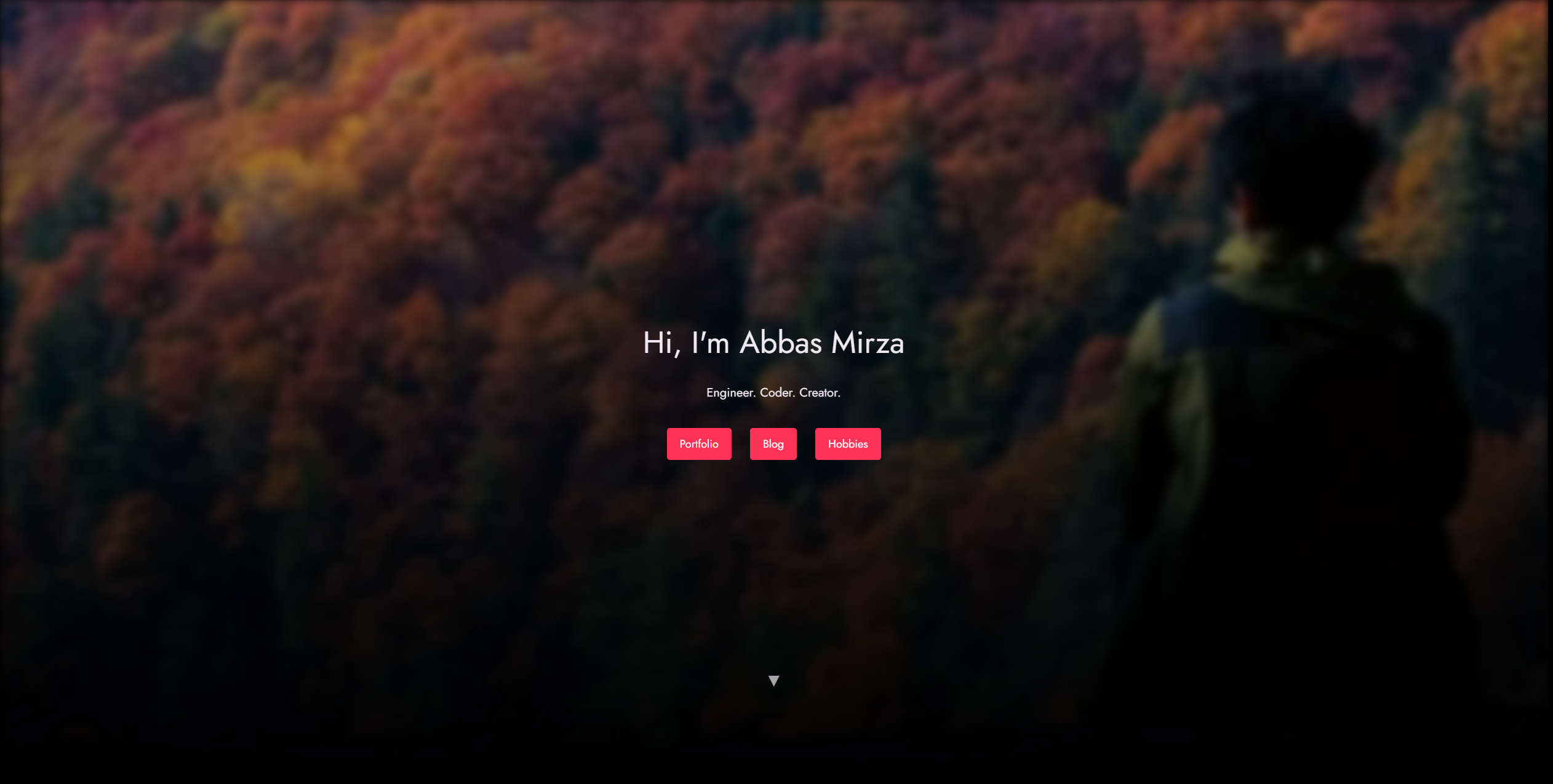 website-img